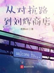 从对抗路到刘辉商店免费阅读