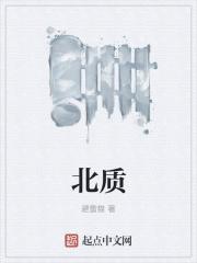 北质量