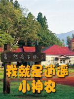 逍遥小神农叶凡