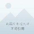 王爷追妻王妃桃花朵朵掐有声