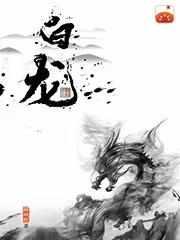 白龙马歌词完整版