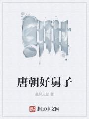 唐朝好舅子最新章节列表
