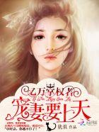亿万掌权人宠妻要上天番外