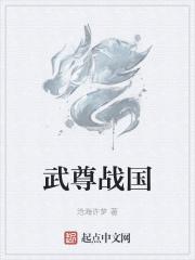武尊的比赛