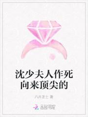 沈少是什么意思
