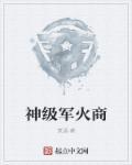 主角是军火商