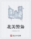 彪悍的美国警察