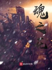 追逐阳光的影子歌曲