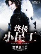 终极小民工陆风TXT百度资源