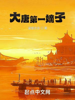 大唐第一嫡子在线阅读