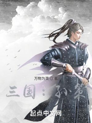 全面战争三国孙策