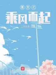 重生之乘风而起女主有几个