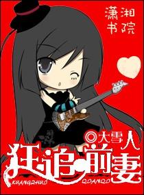 前夫追妻总裁追妻忙免费