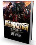 wow 微信