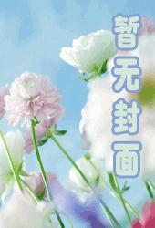 医界圣手免费