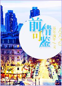 前情可鉴作者苏尔流年