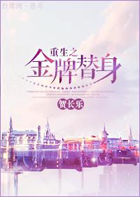 金牌替身简介