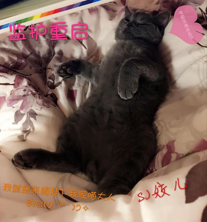 重重监护室人能活多久