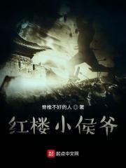 红楼小侯爷开局觉醒