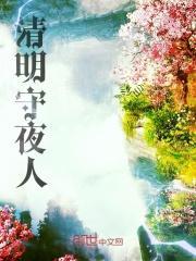 清明夜什么意思