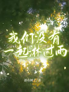 我们没有一起淋过雨的英文