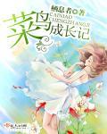 菜鸟警察成长记
