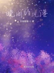 晚间风的意思
