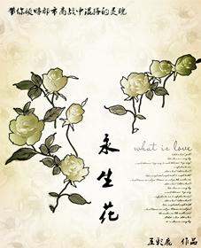 永生花是什么