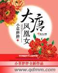 大唐凤凰女讲的什么
