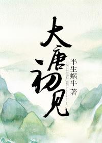 穿越大唐初期