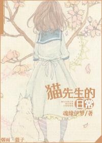 大神猫先生