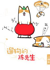遛狗的陈先生推文