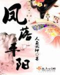 凤落平阳by南风歌是清水文吗