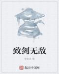 剑与远征无敌版