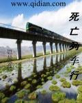 死亡列车攻略