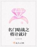 名门暗战台词