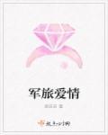 军旅爱情白罂粟之恋 夏晓琪y
