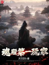 魂殿第一玩家无防盗