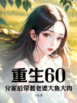 重生六零男主分家