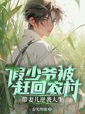 假少爷被赶回农村带妻儿逆袭人生短剧