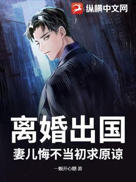 婚姻时差妻子离婚后即将出国