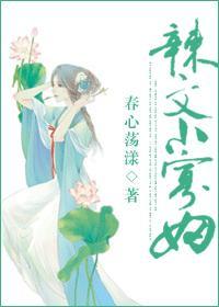 辣文小寡妇林芝