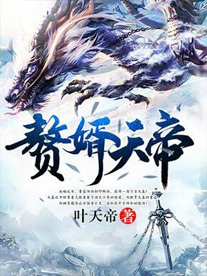 赘婿天帝阅读