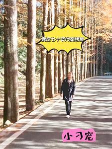 我在七十年代挣粮票是李子啊