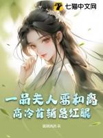 一品夫人要改嫁