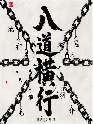 八横八综