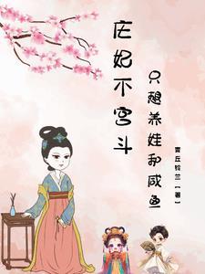 庄妃是什么电视剧