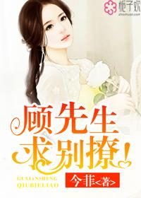 顾先生别闹