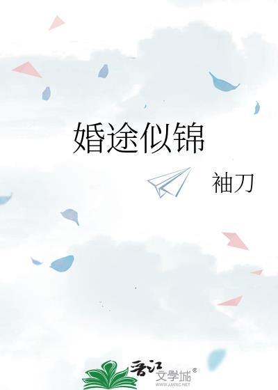 婚途似锦全文免费