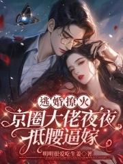 逃婚 言情